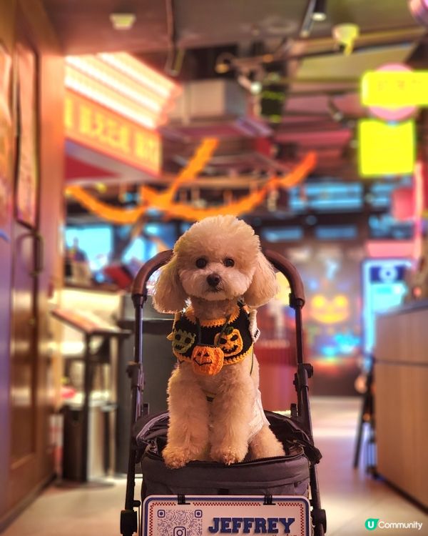 餓虎藏龍 萬聖節大餐