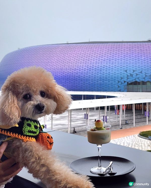 餓虎藏龍 萬聖節大餐