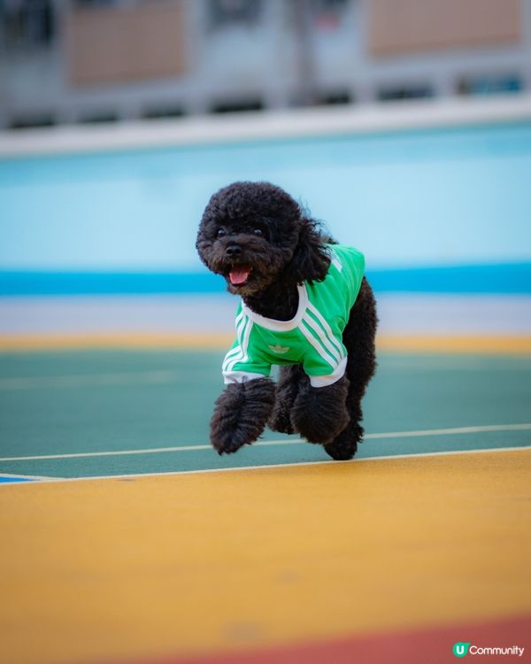 快消失的彩虹邨🌈