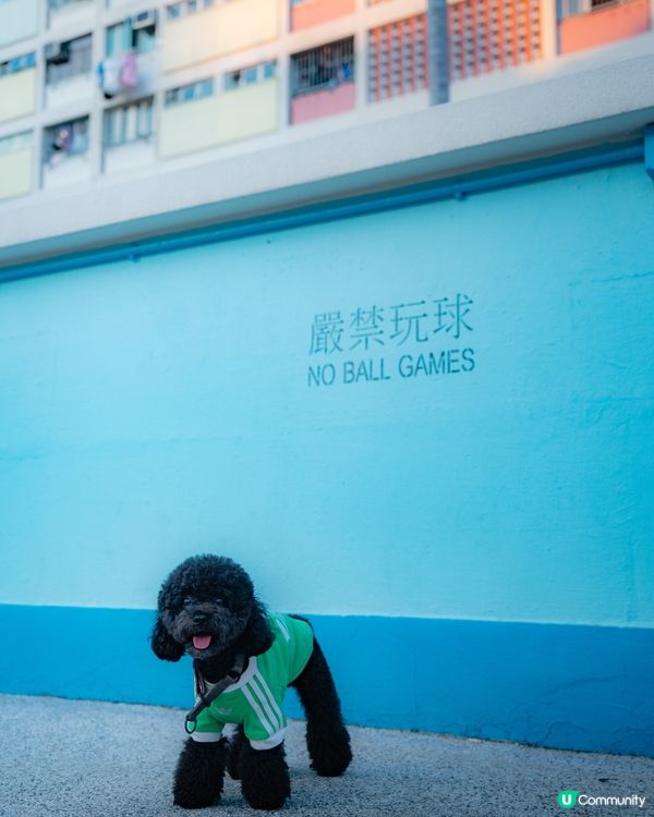 快消失的彩虹邨🌈