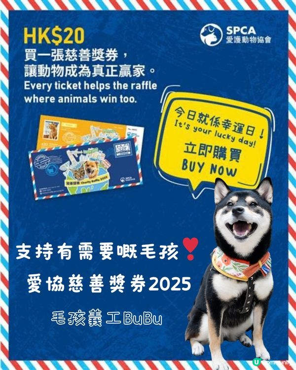 🐾 支持有需要嘅毛孩 — 愛協慈善獎券2025 🐶🐱 