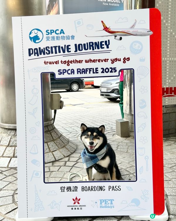 🐾 支持有需要嘅毛孩 — 愛協慈善獎券2025 🐶🐱 