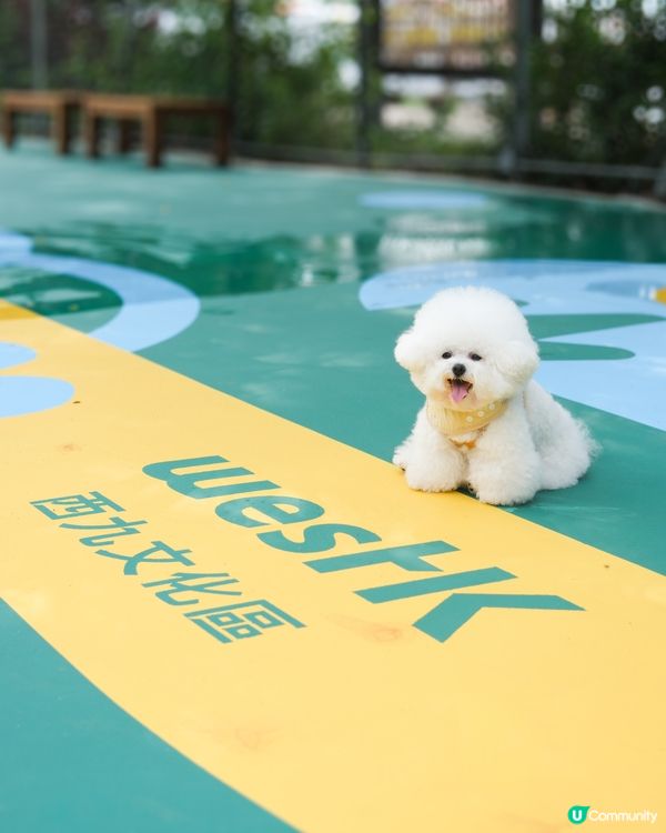 西九寵物俱樂部開張啦！🥳 帶埋毛孩去放電！