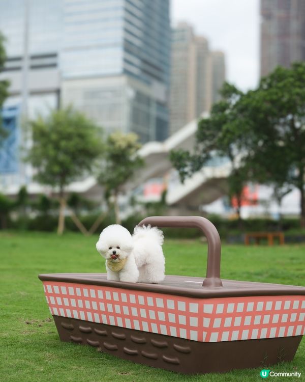 西九寵物俱樂部開張啦！🥳 帶埋毛孩去放電！