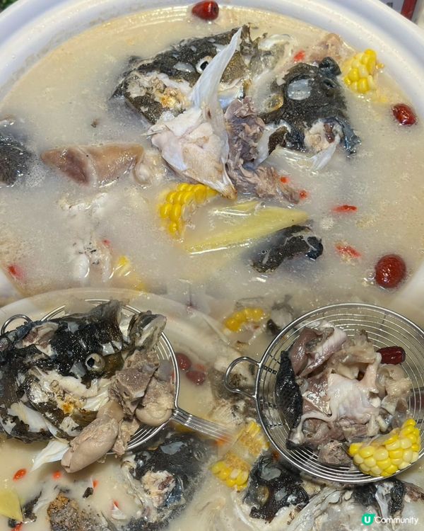 鵬嫂漁記魚羊煲🤤！鮮到爆燈！🍲💯