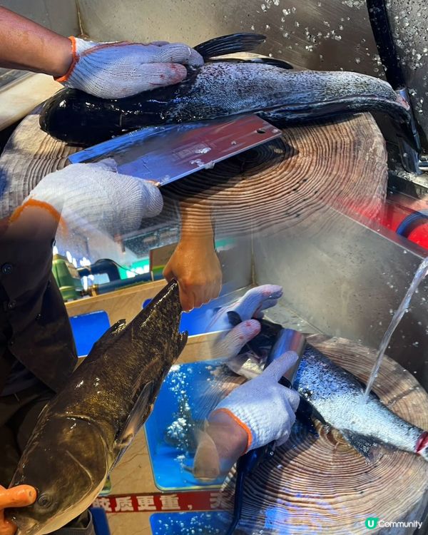 鵬嫂漁記魚羊煲🤤！鮮到爆燈！🍲💯