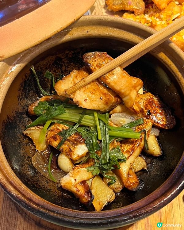 鵬嫂漁記魚羊煲🤤！鮮到爆燈！🍲💯