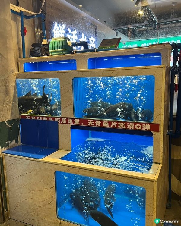 鵬嫂漁記魚羊煲🤤！鮮到爆燈！🍲💯