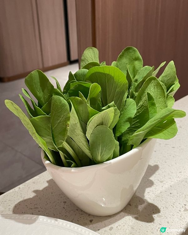 質優 食開心了 . 會上隱的 海底撈