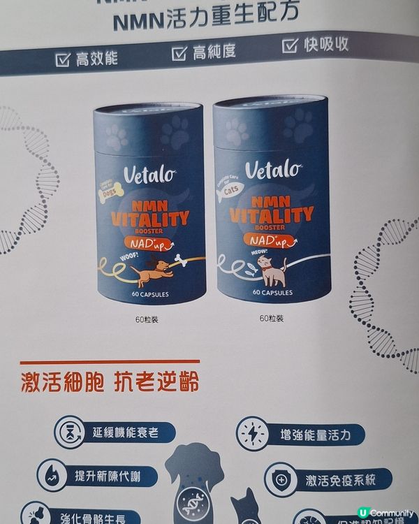 極效磷蝦粉！哥基仔都回春🤩🐶