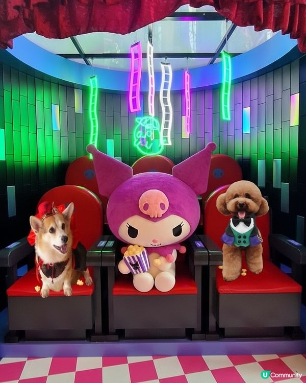 第一次兩兄弟同台！👻 萬聖節毛孩決賽見！🎉