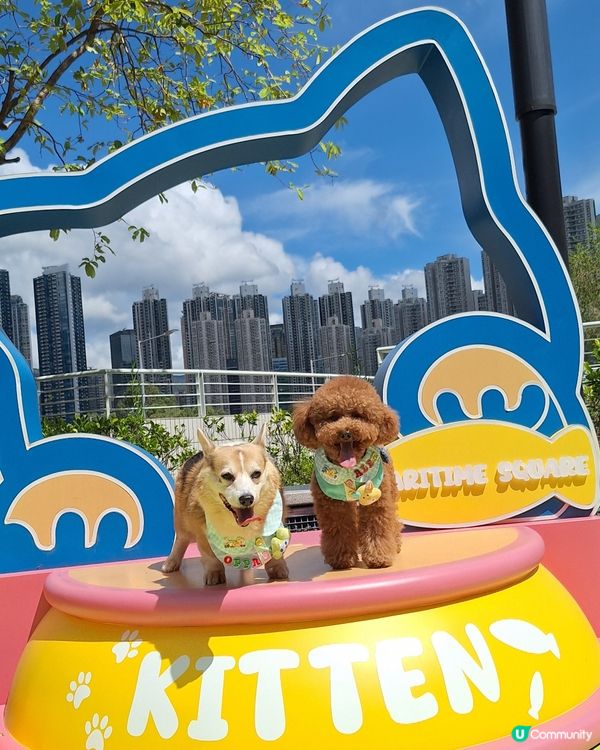 青衣城寵物樂園攻略！🐶🐱 放電打卡一流！📸