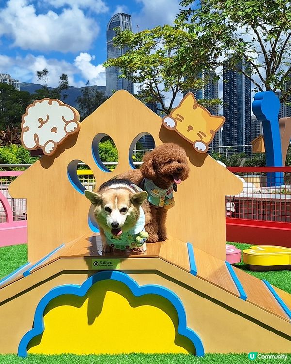 青衣城寵物樂園攻略！🐶🐱 放電打卡一流！📸