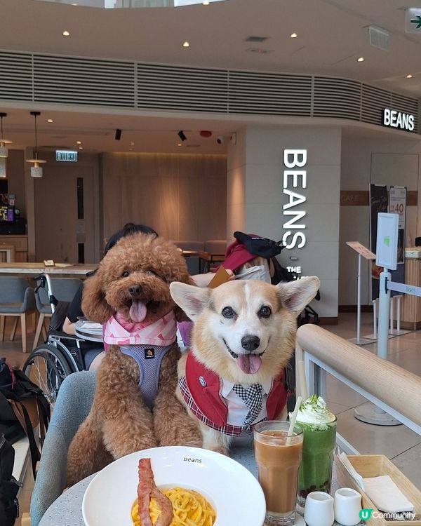 青衣城寵物友善餐廳！🥩🐶 歎和牛扒！😋
