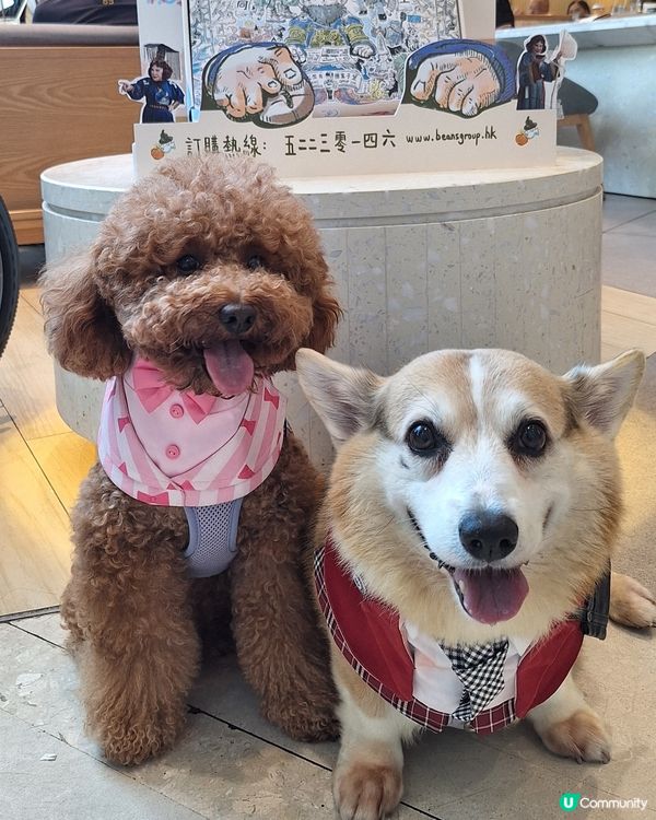 青衣城寵物友善餐廳！🥩🐶 歎和牛扒！😋