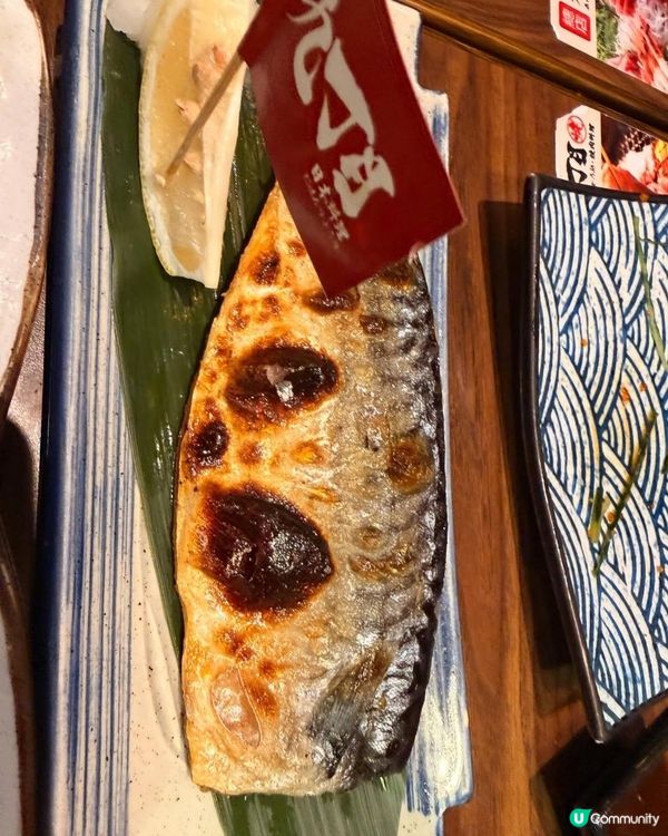 元朗九丁目日本料理🍣！寵物友善🥳！