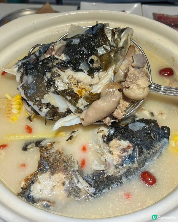 鮮活食材打造 - 魚羊鮮煲的極致美味