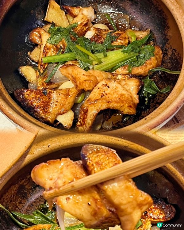 鮮活食材打造 - 魚羊鮮煲的極致美味