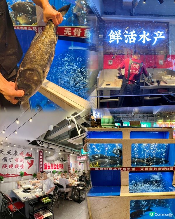 鮮活食材打造 - 魚羊鮮煲的極致美味