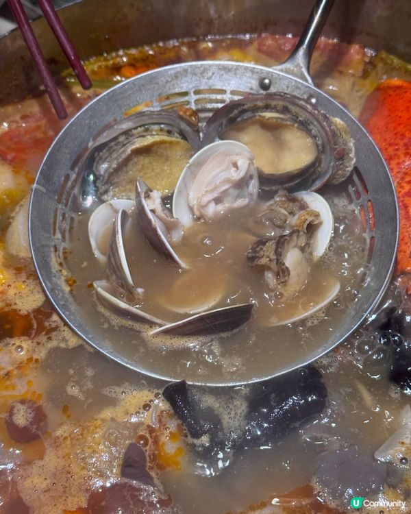 淥鼎記火鍋放題🤤！手切牛任食！🥩