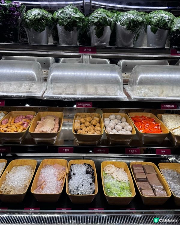 淥鼎記火鍋放題🤤！手切牛任食！🥩