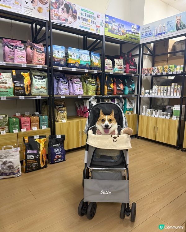 有9折優惠碼