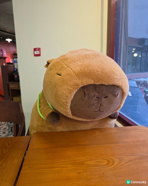 chill cafe