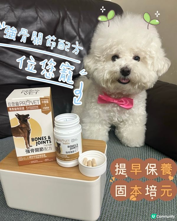 位元堂寵物保健！關節救星🦴✨