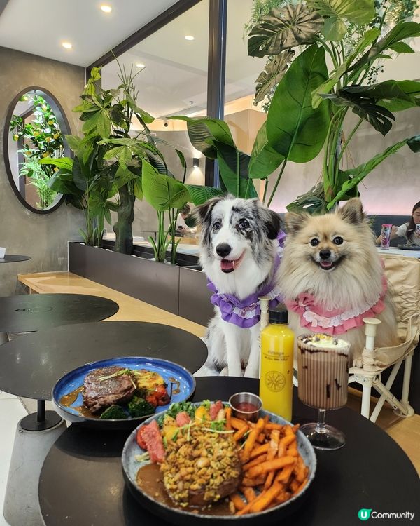 香焗開心果碎美國豬扒有驚喜