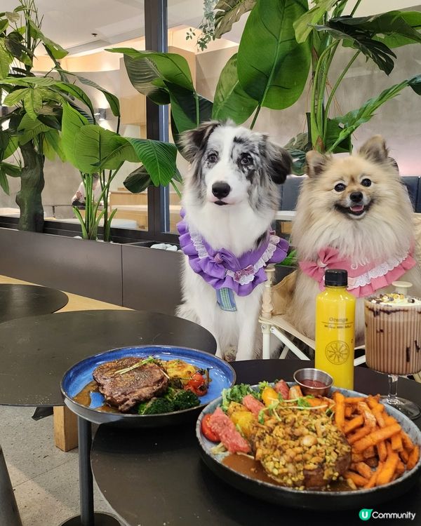 香焗開心果碎美國豬扒有驚喜