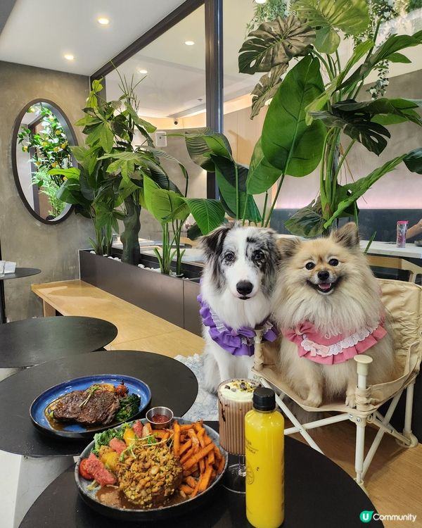 香焗開心果碎美國豬扒有驚喜