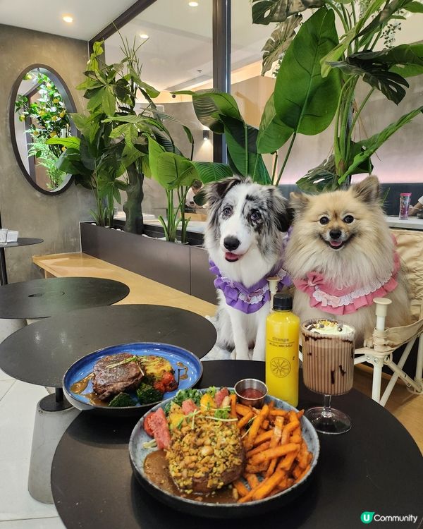 香焗開心果碎美國豬扒有驚喜