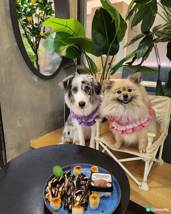 香焗開心果碎美國豬扒有驚喜