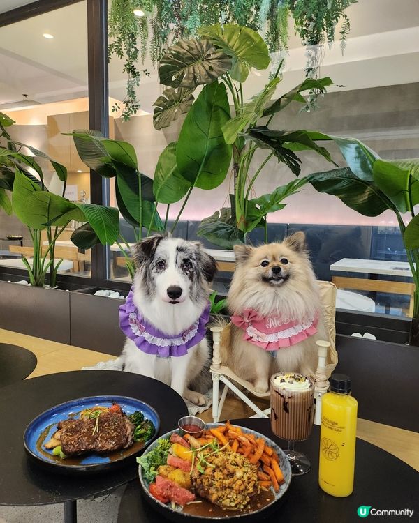 香焗開心果碎美國豬扒有驚喜