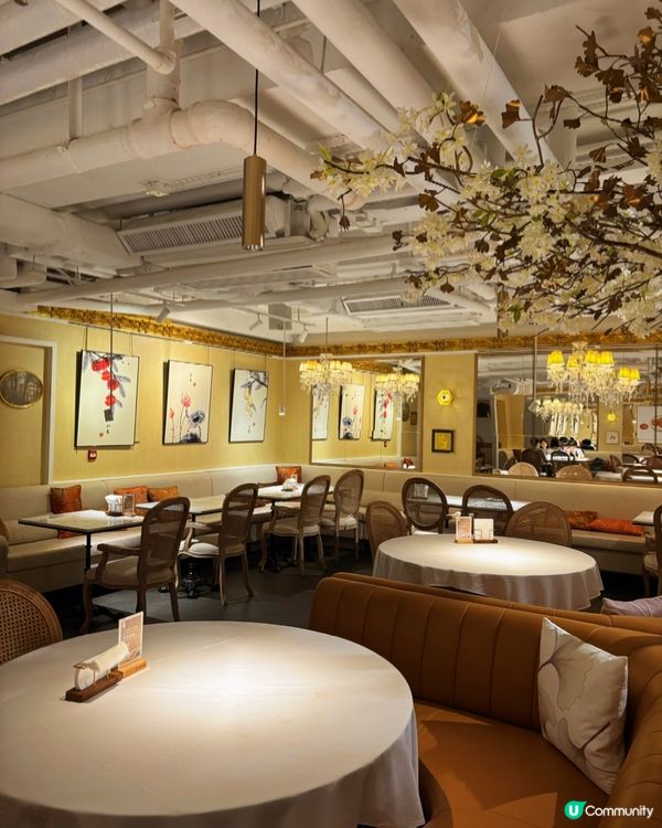 當川寧茶遇上創意點心,舌尖的英倫邂逅🍃