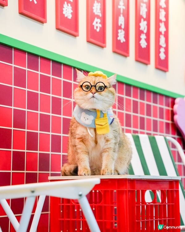 去左啟德打卡😍