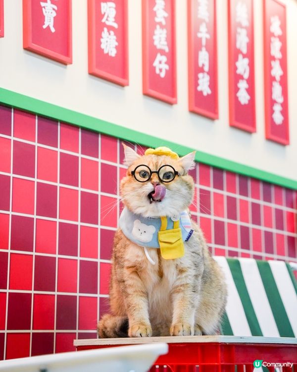 去左啟德打卡😍