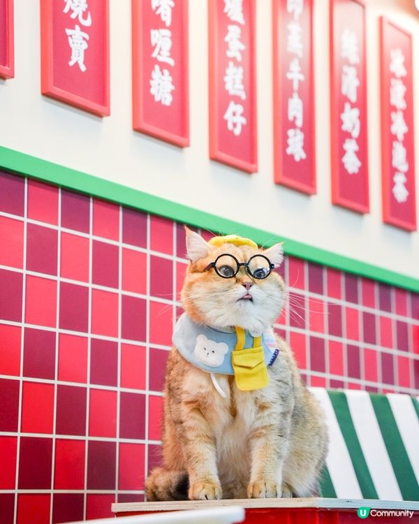 去左啟德打卡😍