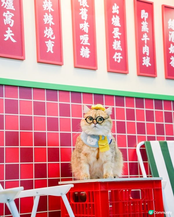 去左啟德打卡😍