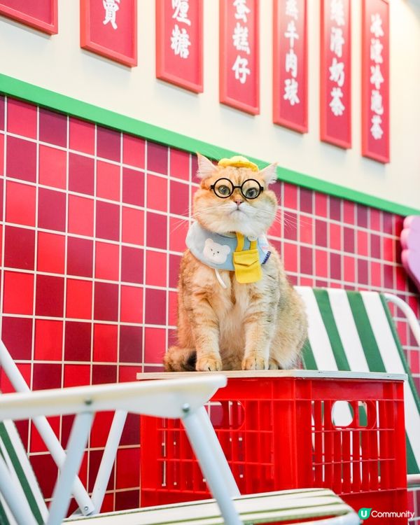 去左啟德打卡😍