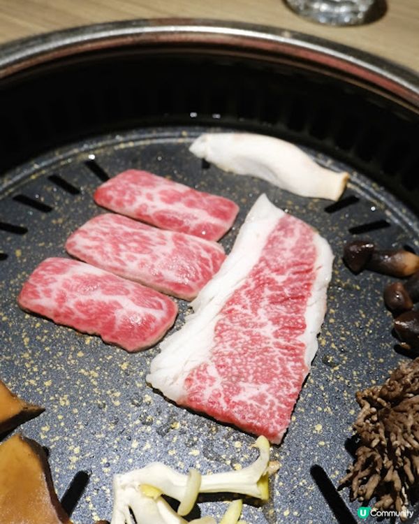 【吃下尖沙咀】用舌尖感受初秋饗宴 - 雪下覓炙