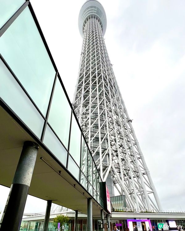 『日本』東京晴空塔下隱藏美味牛舌｜牛たん炭焼利久