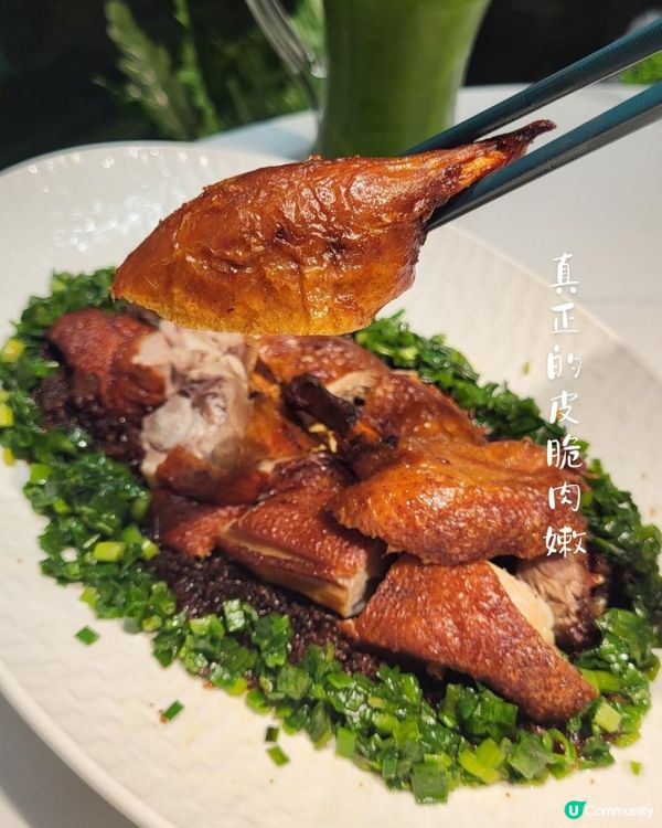 米芝蓮星級名廚聯乘夏日清新菜單🍵