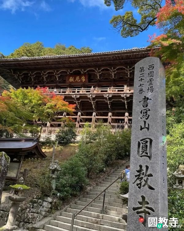 跟著當地人逛百貨+電器城，伴手禮+美食一次搞🎒定
