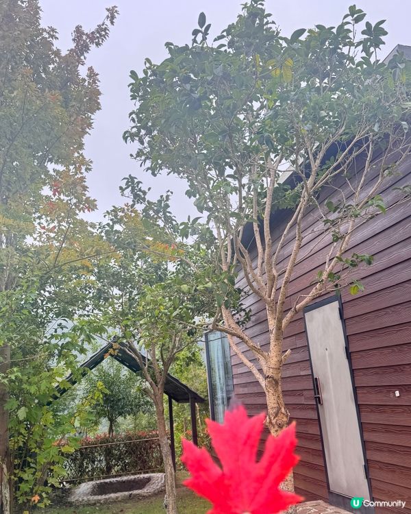 秋日韶關紅葉🍁打卡嶺南紅葉世界