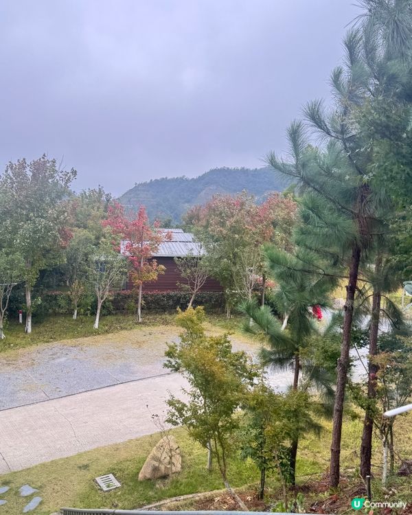 秋日韶關紅葉🍁打卡嶺南紅葉世界