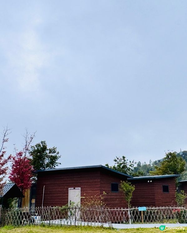 秋日韶關紅葉🍁打卡嶺南紅葉世界