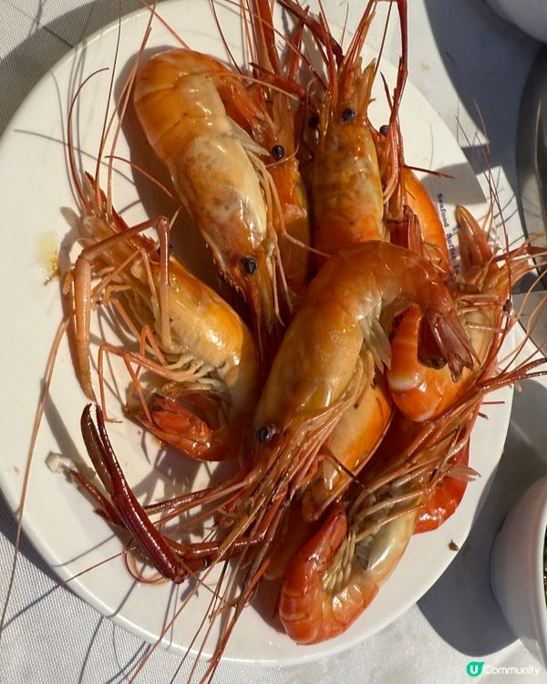 任食大閘蟹大頭蝦生蠔