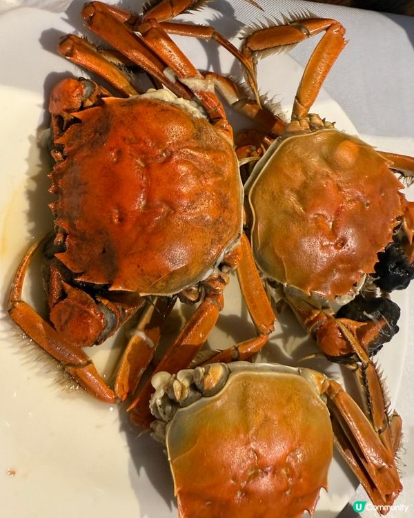 任食大閘蟹大頭蝦生蠔
