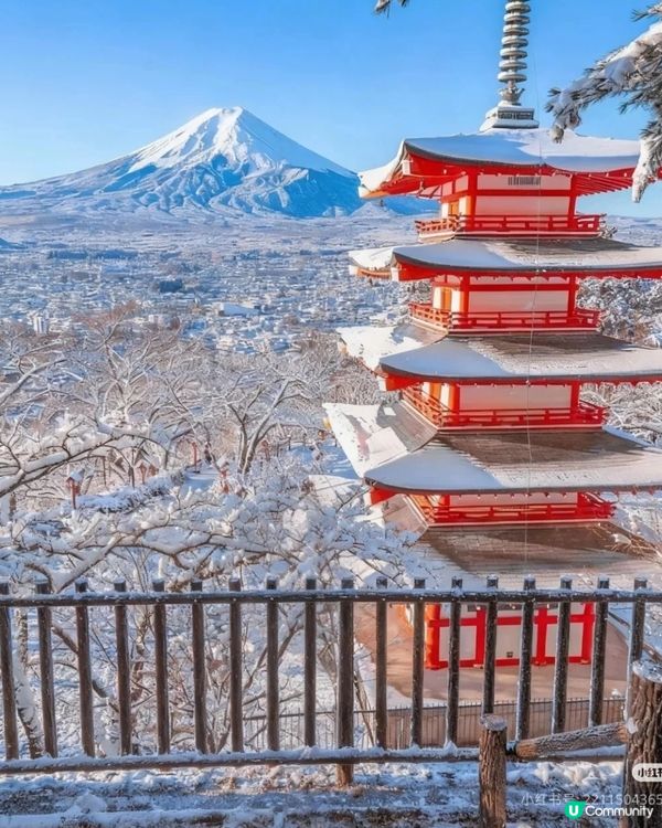 2026年元旦春節 日本冬日限定之旅！